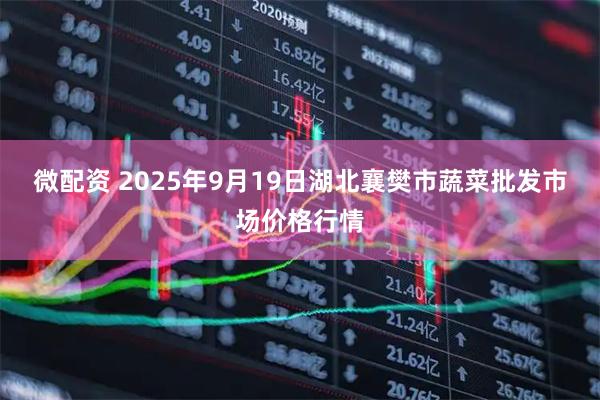 微配资 2025年9月19日湖北襄樊市蔬菜批发市场价格行情