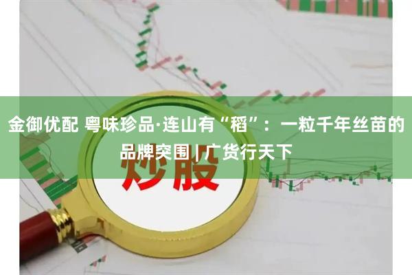 金御优配 粤味珍品·连山有“稻”：一粒千年丝苗的品牌突围 | 广货行天下